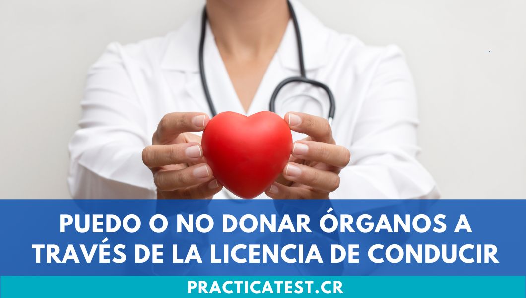 Puedo o no donar órganos a través de la licencia de conducir